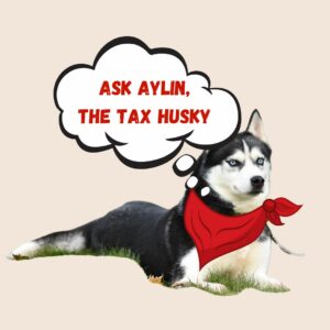 Ask Aylin, The Tax Husky. Image of Aylin.
